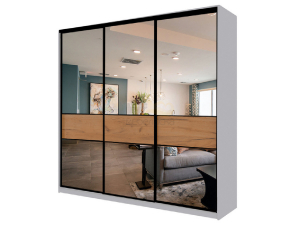 Шкаф-купе Max МШ-25-6-24-666